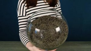 Флорариум своими руками. Мастер-класс.