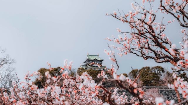 Relax Meditation Music for 30 minutes.@SleepingMeditationalMusi-vl2cp смотреть онлайн