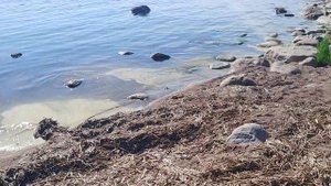 Вокруг Ладоги на Баджаж Авенжер Круиз, день первый, часть 1