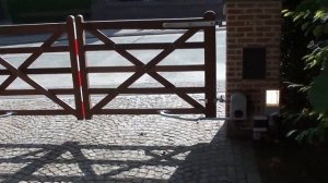 Автоматика для  распашных ворот FAAC 391 рычажная