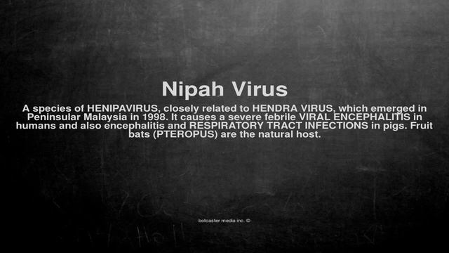 Medical vocabulary: What does Nipah Virus mean