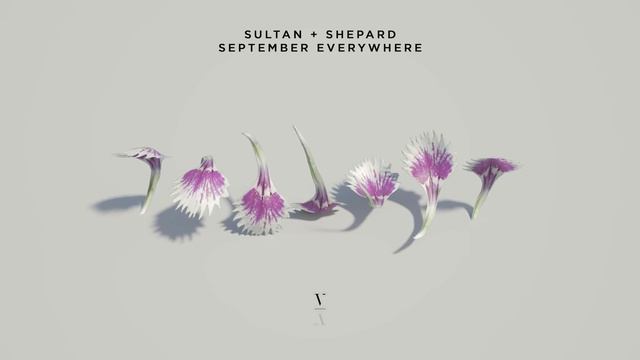 SultanShepard - September Everywhere