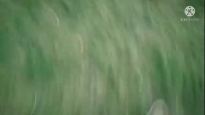 Теггинг #2 #теггинг #теги