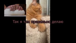 как правильно месить тесто