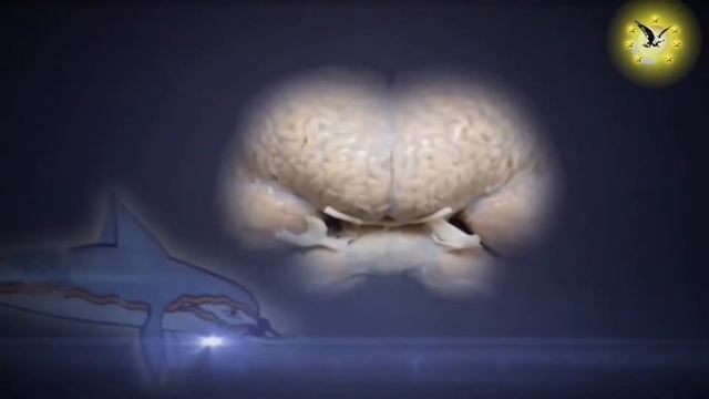 Космологический взгляд на теорию происхождения человека. смотреть онлайн