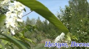 Целую,Весна