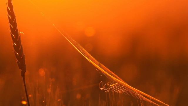 4. Читаю любимые стихи/цитаты подписчиков. смотреть онлайн