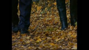 Александр Балашов - Осенний свет -  (Ж. Татлян - С.Льясов)