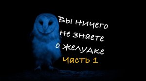 Вы ничего не знаете о желудке часть 1