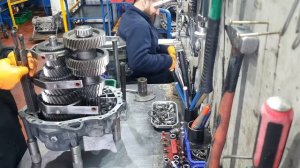zf ecolite repair