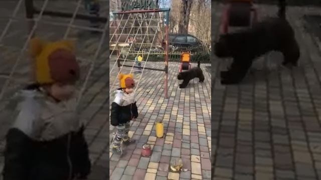 Кто главнее, Девочка Евочка или Фландрский бувик Нюся, она же Ханюся, она же Honey смотреть онлайн