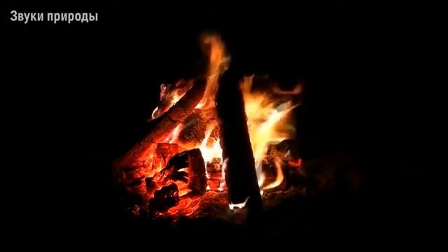 Костёр с громом, ветром и дождём (90 минут). Звуки природы