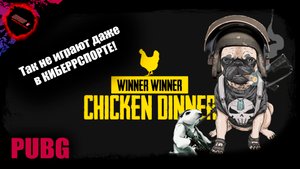 То ли пёс, то ли крыса НО такой стиль игры в PUBG вознаграждается...