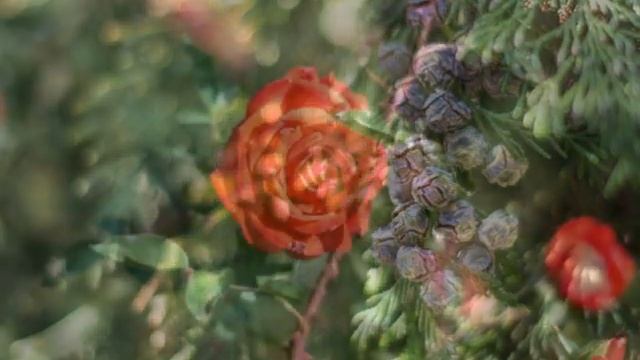 Добрые пожелания друзьям смотреть онлайн