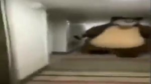 Медведь бежит в закулисье