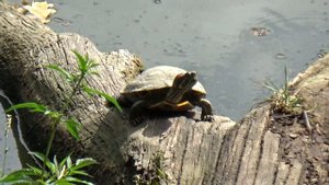 Ставрополь. Бибердова дача. Часть2