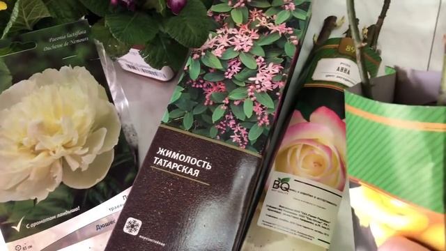 Покупки ? Как правильно выбрать пион ?!? Розы в коробках !!!жимолость татарская? смотреть онлайн