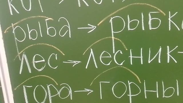 Однокоренные и родственные слова. 1класс