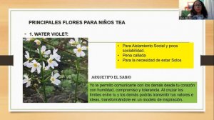 Flores de Bach y autismo