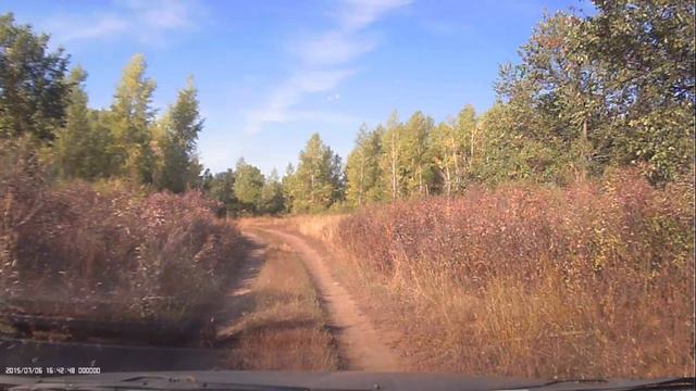 Заяц и музыка