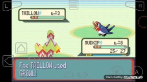 Прохождение pokemon ruby