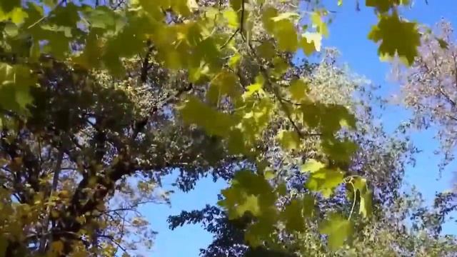 Авторская песня. *Ещё не осень Исп. Татьяна Валян. смотреть онлайн