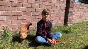 Где жить в Белокурихе - квартиры и дома, цены