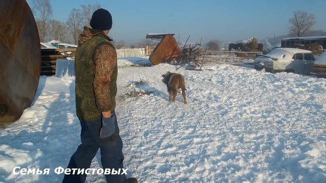 Как справляемся с морозами// Семья Фетистовых смотреть онлайн