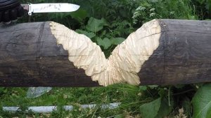 Нож Survivalist X Kizlyar Supreme, сталь aus-8. Тест на древесине.