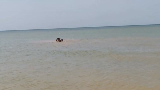 Выходные в Камышеватской ☀ Азовское море ?