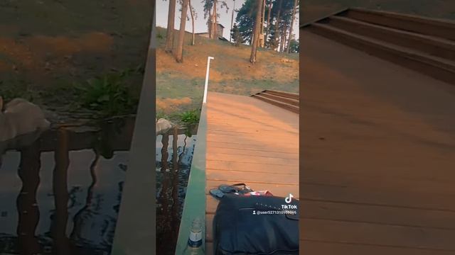 классный песель