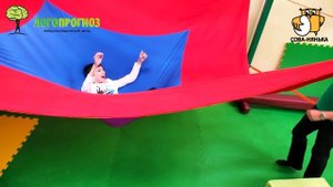 Сова нянька в центре ЛогоПрогноз