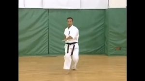 Ката Пинан соно Ни Киокушинкай каратэ(Pinan sono Ni Kyokushinkai)