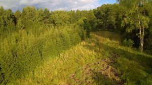 ЛОСИНЫЙ ОСТРОВ. ВЕРХНЕЯУЗСКИЕ БОЛОТА. РЕКА ЯУЗА.