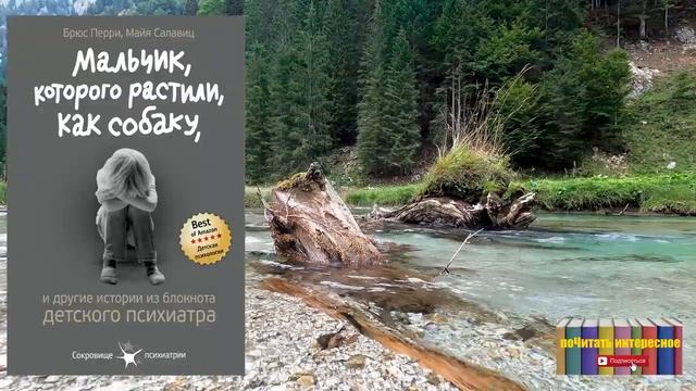 Книга: Брюс Перри, Майя Салавиц - Мальчик, которого растили как собаку (Детская психология) смотреть онлайн