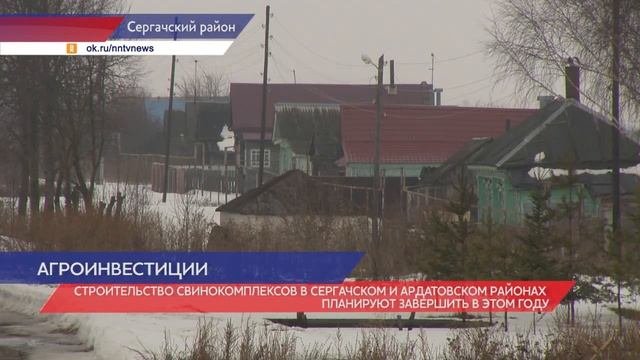 Свинокомплекс на шесть тысяч голов свиней строят в Сергачском районе