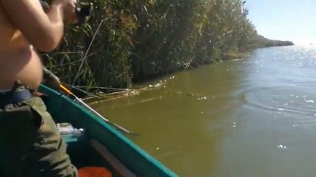 Рыбалка в Астраханской области , Осень 2019 смотреть онлайн