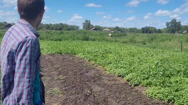 НЕ УМРЁТ РУССКАЯ ДЕРЕВНЯ. Богатство России, её народ. Молодой агроном с семьей переехал в деревню. смотреть онлайн