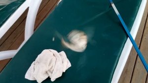 Рыбалка в Турции Как ловить в море Рыбалка на удочку в море Средиземноморская Лора