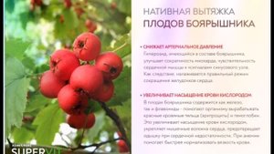 кардиосан.mp4