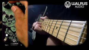 Walrus Julianna Stereo Chorus / Vibrato