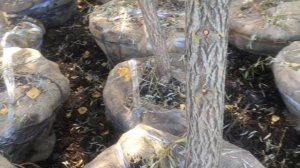 Что такое крупномеры?