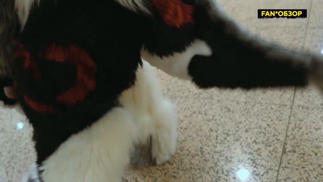 FAN*ОБЗОР. Антропоморфность (Фурри) смотреть онлайн