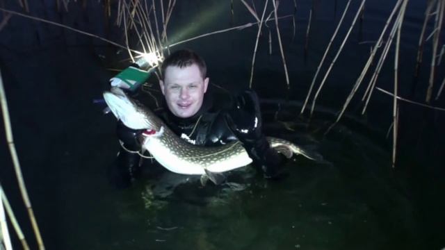Подводная Охота в Ленинградской области рядом с Санкт-Петербургом смотреть онлайн