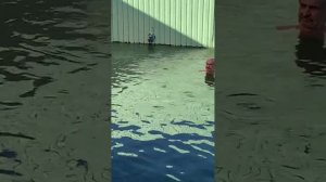 Сероводородный источник в г. Избербаш (респ. Дагестан) 02/07/2023