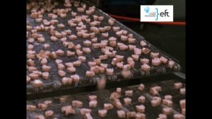 Панировочная линия Hiwell.mp4