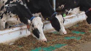 Дороги деревенские 01.04.23