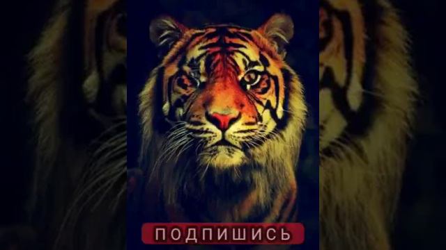 Не понимай remix 2019 смотреть онлайн