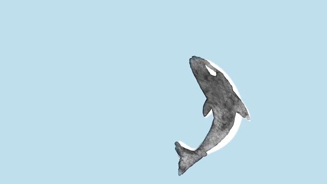 Safia Nolin: Technicolor (audio) смотреть онлайн