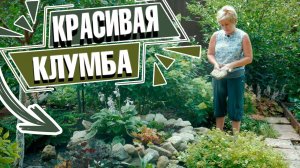 Как сделать клумбу своими руками